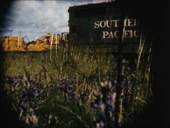 Moody photograph showing blades of grass, flowers and a dark wall in the distance that says Southern Pacific