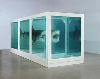 Damien Hirst, The Physical Impossibility of Death in the Mind of Someone Living, 1991 © DACS
