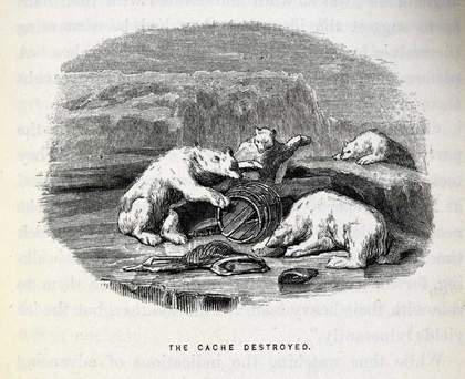 The Cache Destroyed Wood engraving from Elisha Kent Kane