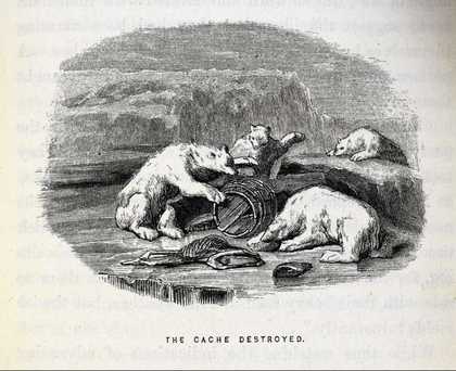 The Cache Destroyed Wood engraving from Elisha Kent Kane