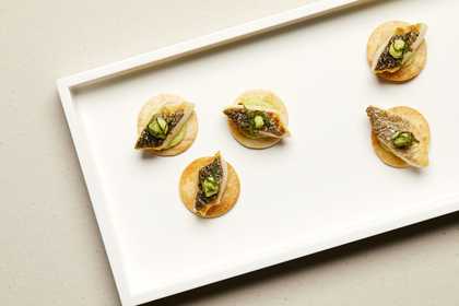 six sea bass canapes