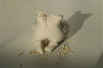 Phoebe Corker-Marin, 2017