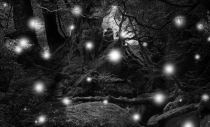 ​Carlos Casas, Jungle Series I from the Cemetery (Archive works) series, 2016