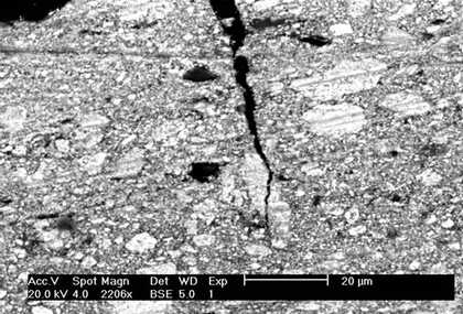 SEM-BSE of paint: (b) lead white paint from white highlight in Rembrandt van Rijn, Susanna 1636 Mauritshuis inv. no. 147
