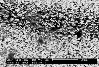 SEM-BSE of paint: (a) cross-section of modern lead white (Kremer Pigmente) in linseed oil