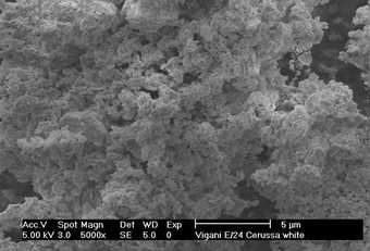 SEM-BSE of pigments: (b) lead white pigment dated 1703-04, Vigani Collection, Queen’s College, University of Cambridge (Wagner 2005)