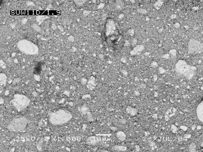 SEM-BSE of paint: (b) Dutch process stack method, modern reproduction (Jef Seynaeve) in linseed oil