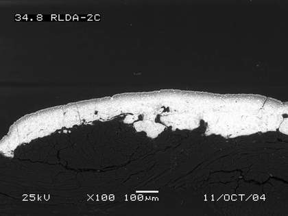SEM-BSE of red lead (Fisher Scientific) paint showing (a) oil rich layer at the surface, paint applied over glue sized canvas