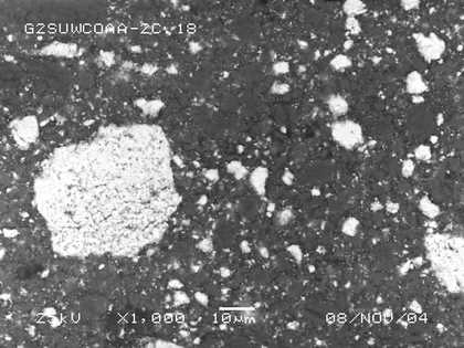 SEM-BSE of paint reconstructions with (b) 50% unrefined chalk (Omya) and Dutch process lead white (Jef Seynaeve) 