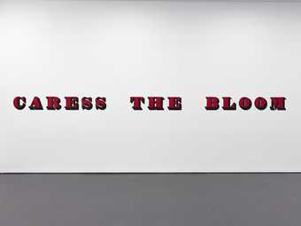 View of white wall in a gallery with the words CARESS THE BLOOM printed across it in red text 