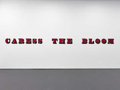 View of white wall in a gallery with the words CARESS THE BLOOM printed across it in red text