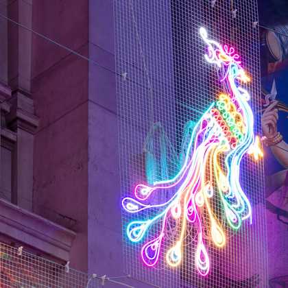 A peacock and a neon ice cream cone