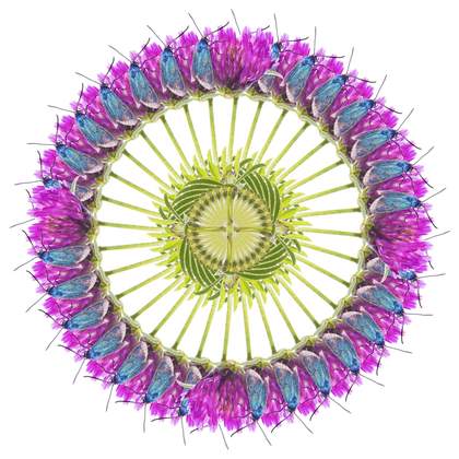 purple, blue and yellow kaleidoscope-like image