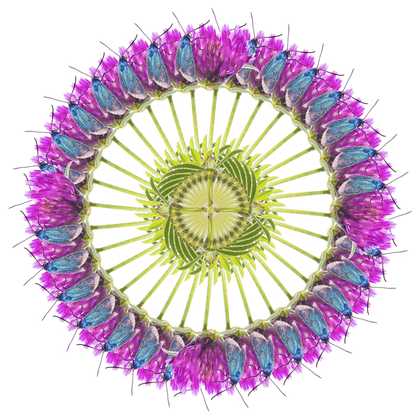 purple, blue and yellow kaleidoscope-like image