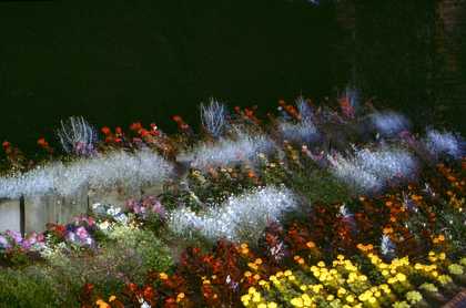 Chris Steele-Perkins, Brockwell Park Flower Garden, London, from The Pleasure Principle, 1980–9