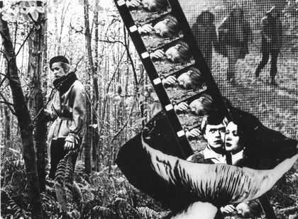Christoph Schlingesief Tunguska 1984 AM12