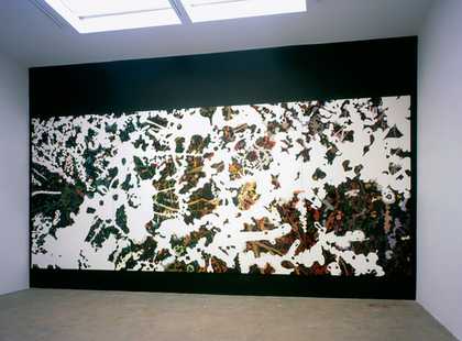 Clare Woods Failed Back 2004