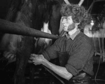 Darcy Lange Clem Coxhead, Study of Cow Milking in Opunake, Taranaki, New Zealand 1974, photographic still. Courtesy Govett-Brewster Art Gallery and Darcy Lange Estate