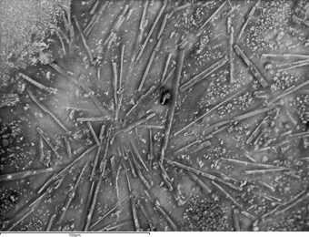 A backscattered scanning electron microscope image of a paint sample taken from a W&N cadmium lemon swatch dating to 1963.