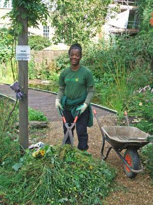 Tate Modern community garden