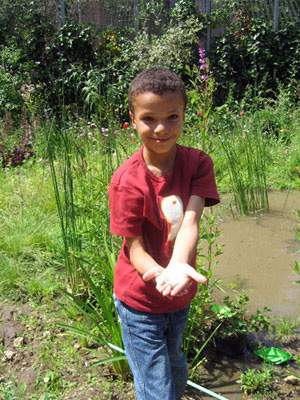 Tate Modern community garden