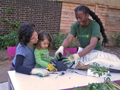 Tate Modern community garden