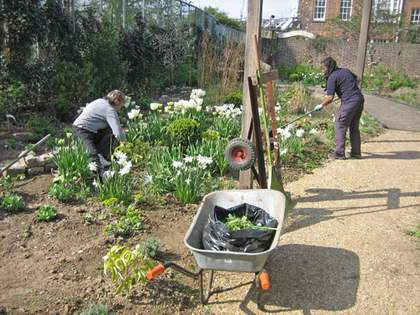 Tate Modern community garden