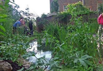 Photograph of a lots of wild flowers in a garden with people standing in it