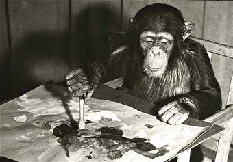 A black and white photograph of Congo the chimp painting at London Zoo. 