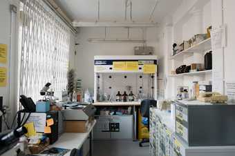 The Tate Microscopy Laboratory 
