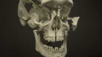 Vidokle film still close up of a skull 