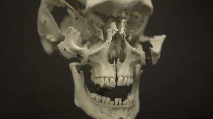 Vidokle film still close up of a skull