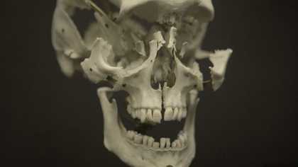 Vidokle film still close up of a skull 
