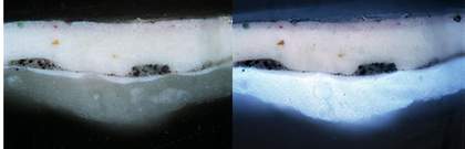 Cross-section showing single ground (lower semi-transparent layer with thin ‘flatting’ coat on top) plus grey and off white paint layers. Incident light (left) and ultraviolet light (right). Photograp