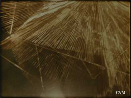 The Sun Film by John Cage/Richard Lippold