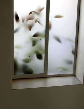 dye transfer print of Thomas Demand's Daily #14, a photograph of a window with a plant up against it