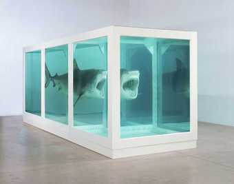 Damien Hirst The Physical Impossibility of Death in the Mind of Someone Living 1991 Glass, steel, silicon, formaldehyde and shark