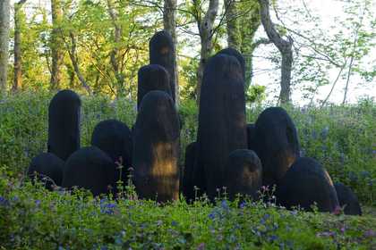 Photograph of David Nash's Mound
