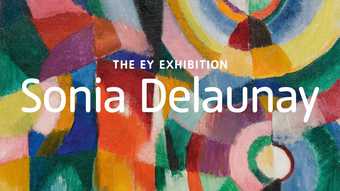 Sonia Delaunay website banner