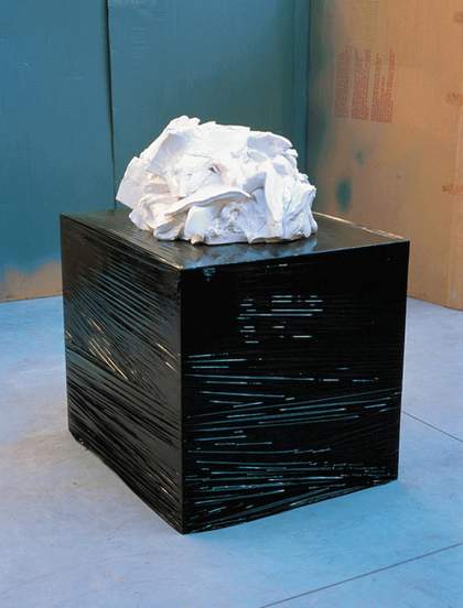 Didier Vermeiren Plastic Solid # 15 2001