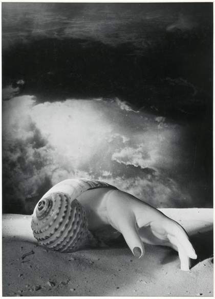 A black and white image of a human hand with painted fingernails emerging from a conch shell. The shell is on a sandy ground and against a cloudy background.