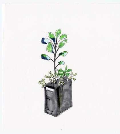 drawing of a computer with plants growing out of it