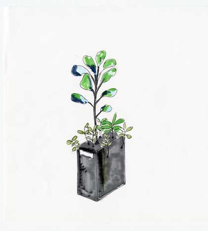 drawing of a computer with plants growing out of it