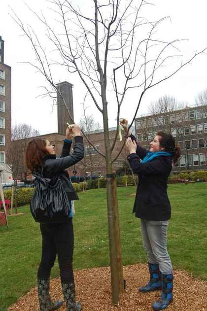 Thank Goodness Club, Tate Modern Community project