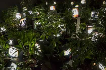 Nam June Paik TV Garden 1974-7 (2002) Kunstsammlung Nordrhein-Westfalen (Düsseldorf, Germany) © Estate of Nam June Paik Photo: Tate (Roger Sinek)