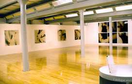 Elective Affinities Installation Tate Liverpool 1993