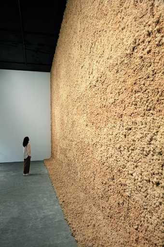 Olafur Eliasson Moss Wall 1994