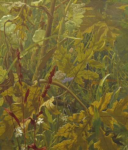 Undergrowth tempera painting by Eliot Hodgkin.