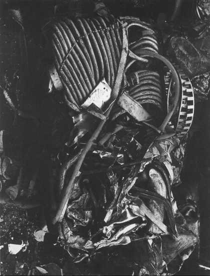 Emila Medková Arcimboldo I 1978