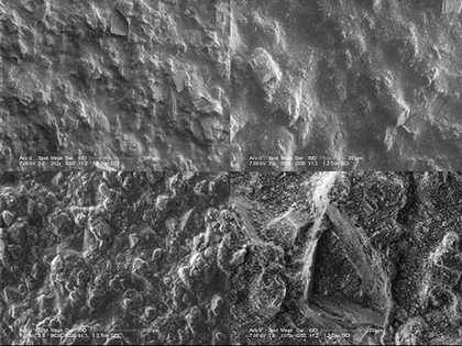 ESEM images of Grumbacher gesso on glass slides, swab rolled with water for 2 mins, TL: control 200x; TR: control 500x; BL: water swabbed 200x; BR: water swabbed, 900x